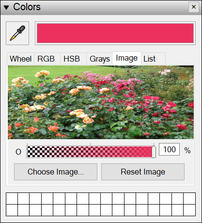 Click the image loaded in the color picker to select a color.